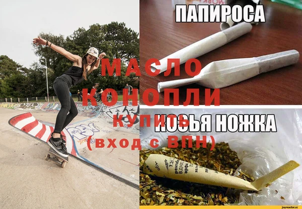 крисы Алзамай