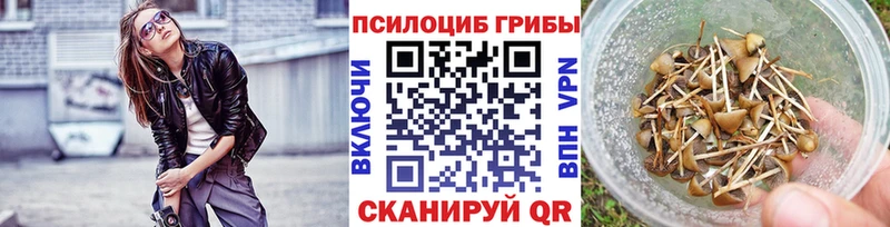 OMG вход Кореновск Галлюциногенные грибы мухоморы